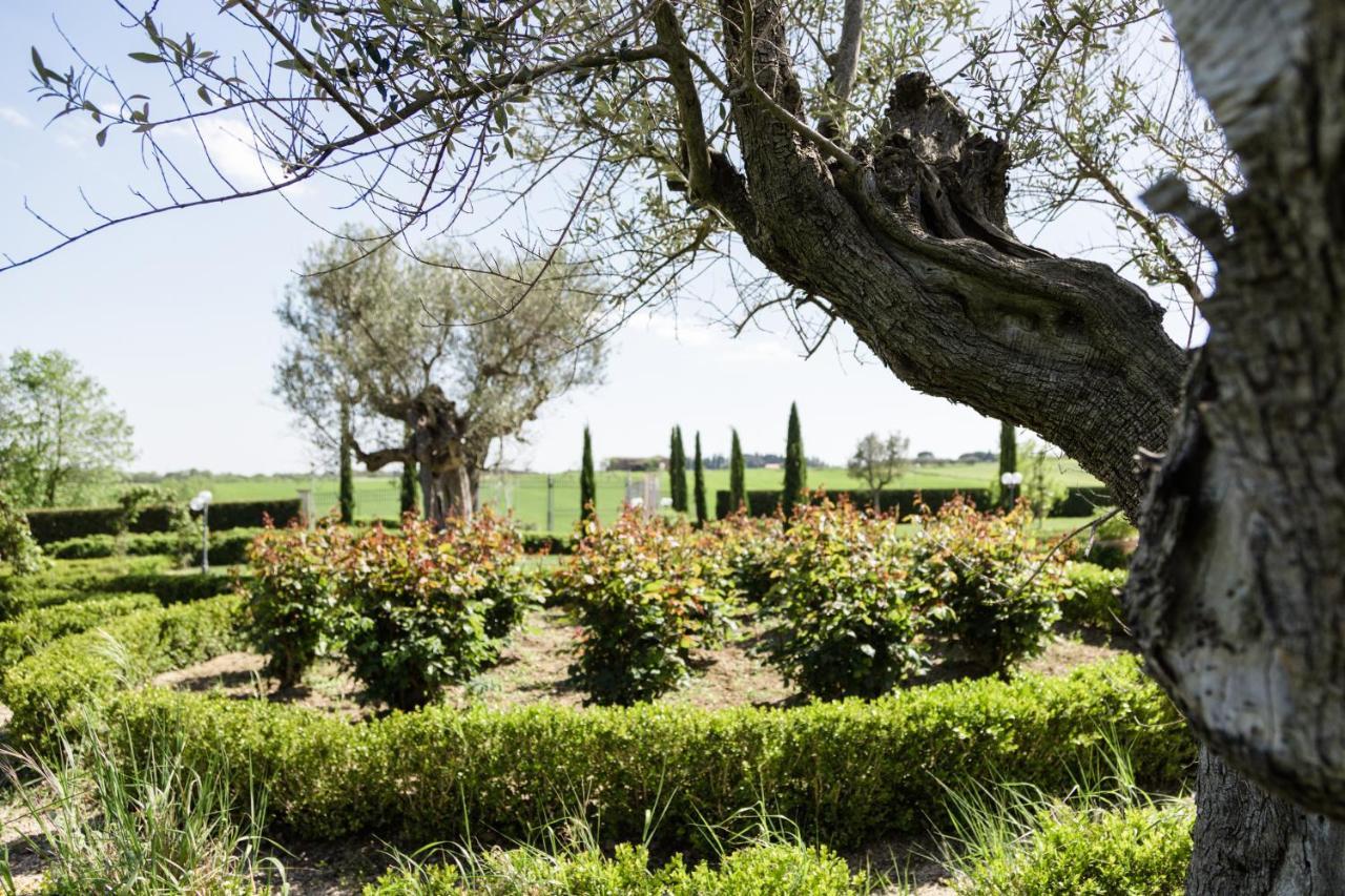 Podere San Giuseppe Castiglione del Lago Exterior photo